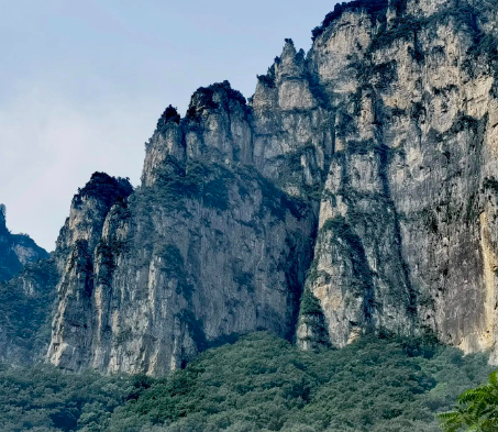 三季报净利下滑八成，存货周转压力增加22%，歌力思提前入冬？